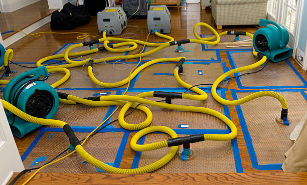 Professional Water Extraction technician working in Little Rock, IA